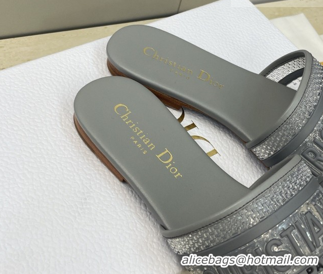 Top Grade Dior Dway Flat Slides Sandal in Transparent and TPU Grey 2026 0302090