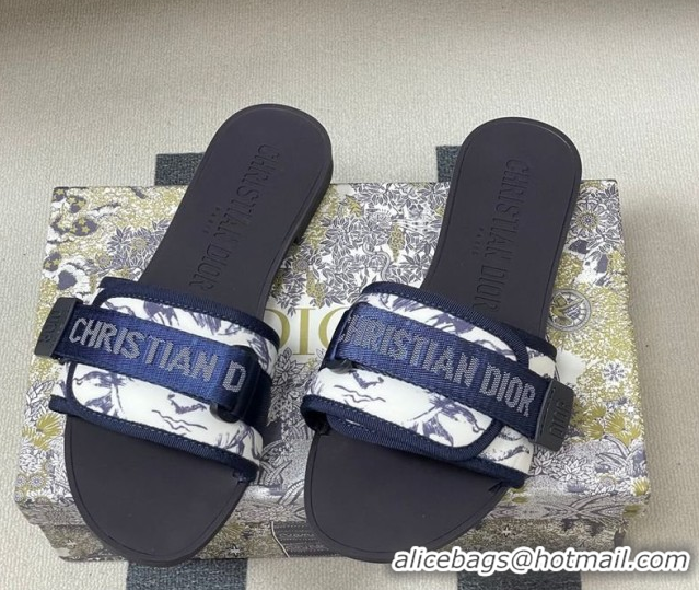 Buy Luxury Dior Dio(r)evolution Flat Slides Sandal in Technical Fabric with Strap Print/Blue 2026 0302096