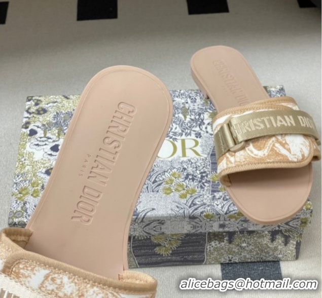 Good Quality Dior Dio(r)evolution Flat Slides Sandal in Technical Fabric with Strap Beige 2026 0302097