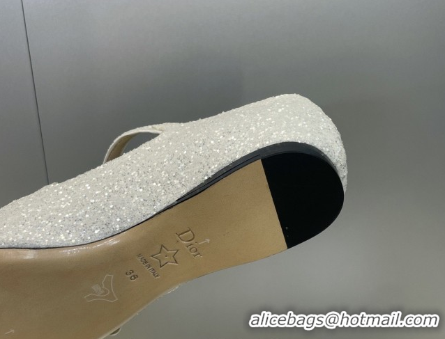 Stylish Dior Very Dior Ballet Flats in Glitter Grey 2026 0303011