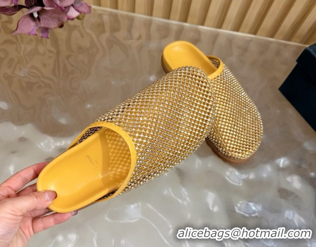 Top Grade Saint Laurent Strass Mesh Mules Yellow 2026 SL022406