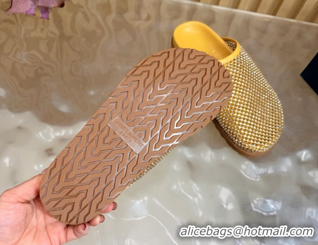 Top Grade Saint Laurent Strass Mesh Mules Yellow 2026 SL022406