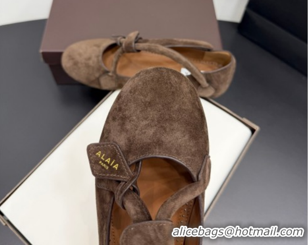 Shop Duplicate Alaia Architectura Ballet Flats in Suede with Strap Dark Brown 2025 AL020701