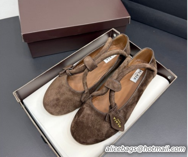 Shop Duplicate Alaia Architectura Ballet Flats in Suede with Strap Dark Brown 2025 AL020701
