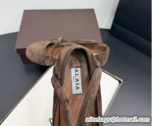 Shop Duplicate Alaia Architectura Ballet Flats in Suede with Strap Dark Brown 2025 AL020701