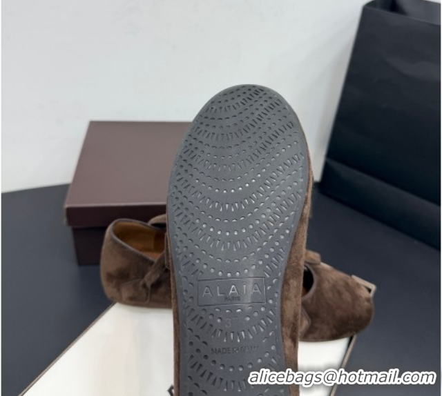 Shop Duplicate Alaia Architectura Ballet Flats in Suede with Strap Dark Brown 2025 AL020701