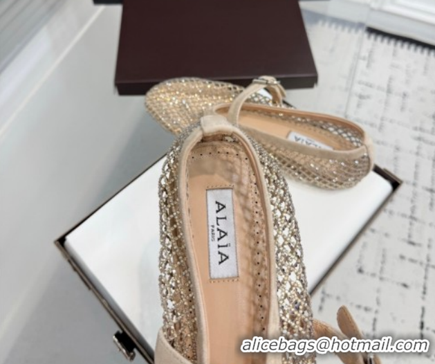 Luxurious Alaia Ballet Flats in Fishnet and Suede with Strass Beige AL020702
