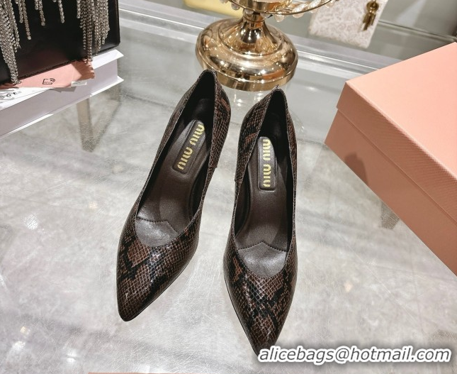 Best Grade Miu Miu Snakeskin Embossed Leather Pumps 7.5cm 5I546E Brown