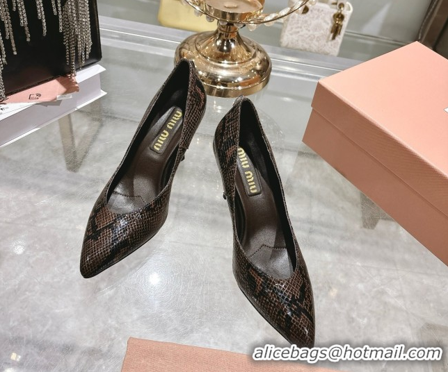 Best Grade Miu Miu Snakeskin Embossed Leather Pumps 7.5cm 5I546E Brown