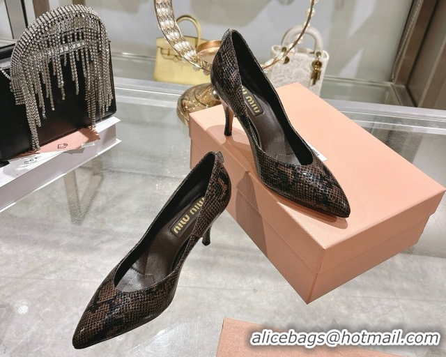Best Grade Miu Miu Snakeskin Embossed Leather Pumps 7.5cm 5I546E Brown