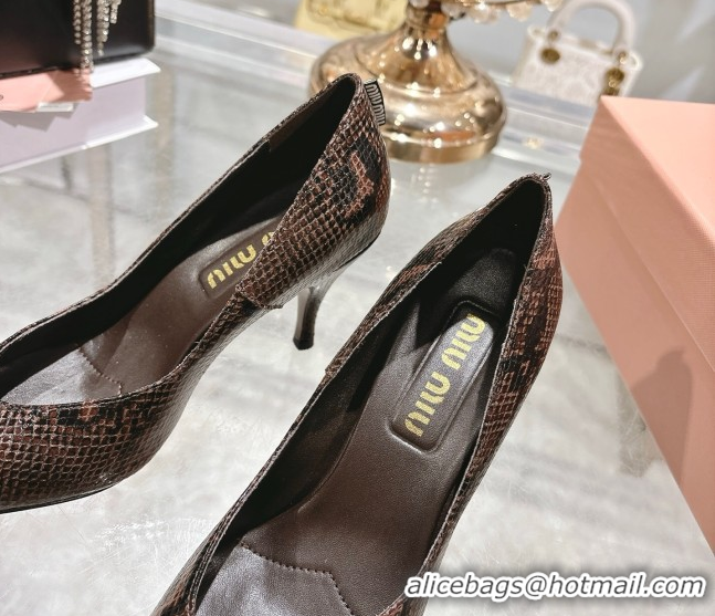 Best Grade Miu Miu Snakeskin Embossed Leather Pumps 7.5cm 5I546E Brown