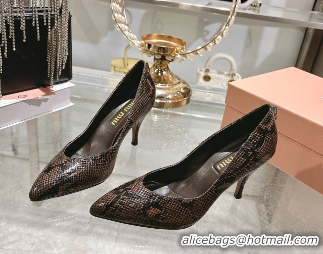 Best Grade Miu Miu Snakeskin Embossed Leather Pumps 7.5cm 5I546E Brown