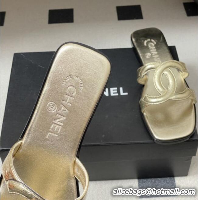 Inexpensive Chanel Crackled Laminated Calfskin Mules Sandals G47250 Gold 2026