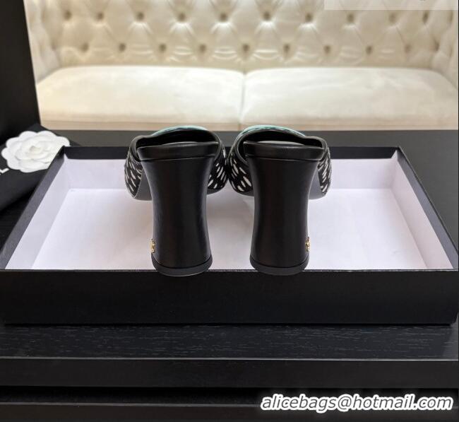 ​Original Cheap Chanel Horsehair & Patent Calfskin Mules G47176 Black/Blue Spring Summer 2026