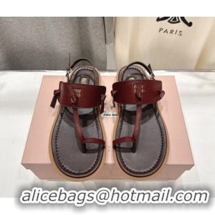 Stylish Miu Miu Leather Thong Flat Sandals MM022702 Burgundy 2026