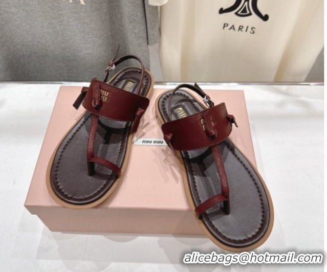 Stylish Miu Miu Leather Thong Flat Sandals MM022702 Burgundy 2026