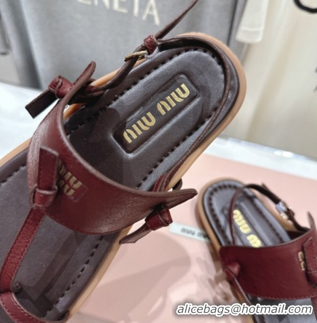 Stylish Miu Miu Leather Thong Flat Sandals MM022702 Burgundy 2026