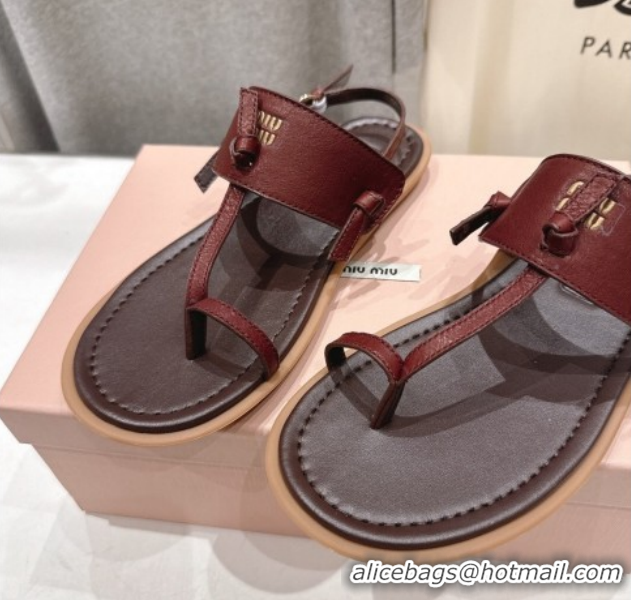 Stylish Miu Miu Leather Thong Flat Sandals MM022702 Burgundy 2026