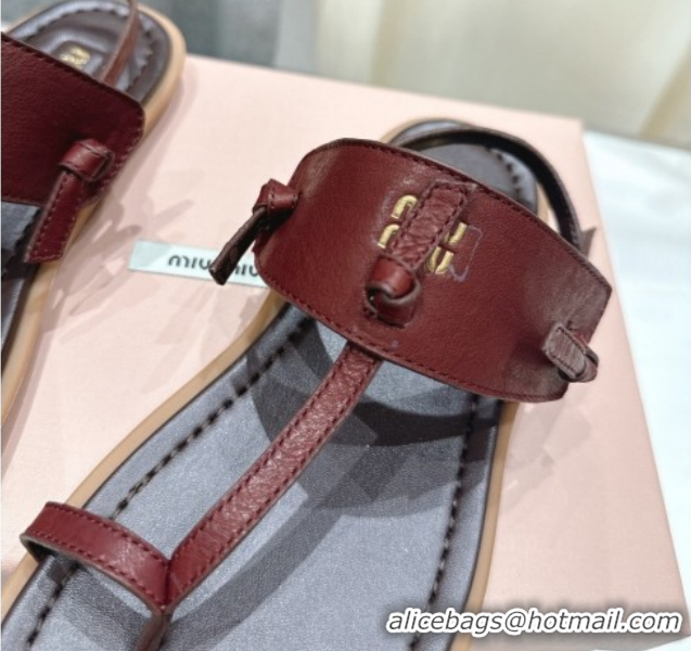 Stylish Miu Miu Leather Thong Flat Sandals MM022702 Burgundy 2026