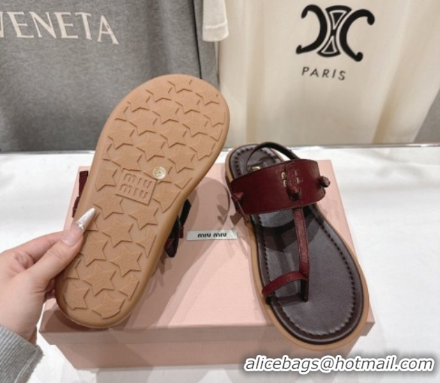 Stylish Miu Miu Leather Thong Flat Sandals MM022702 Burgundy 2026