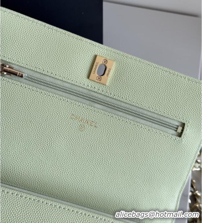 Good Looking Chanel Wallet On Chain with Top Handle Grained Shiny Calfskin AP4931 Light Green 2026