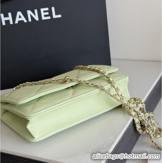 Good Looking Chanel Wallet On Chain with Top Handle Grained Shiny Calfskin AP4931 Light Green 2026