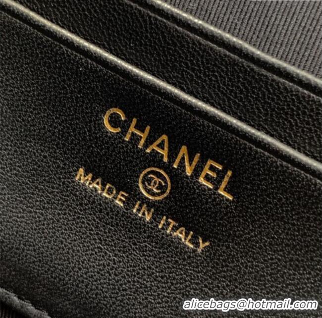 Top Grade Chanel Vanity with Chain in Suede Calfskin & Shiny Lambskin AP5186 Pink 2026