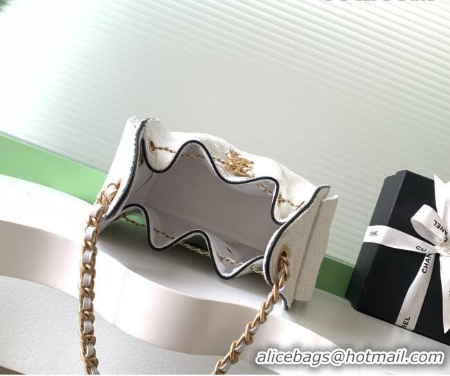 Top Grade Chanel 25 Small Hobo Handbag in Braided Raffia AS5293 White 2026