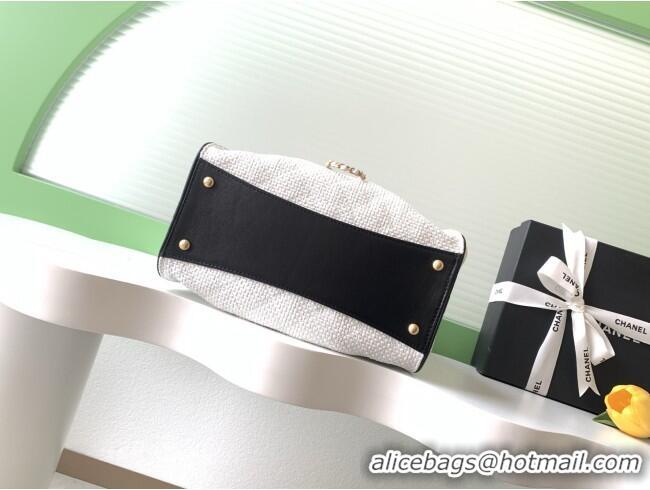 Top Grade Chanel 25 Small Hobo Handbag in Braided Raffia AS5293 White 2026