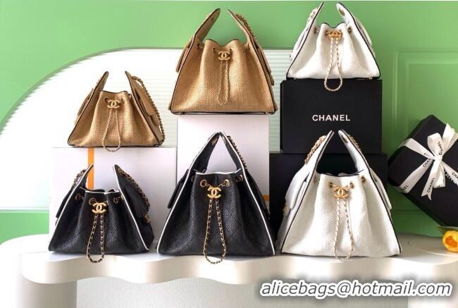 Luxury Discount Chanel 25 Mini Hobo Handbag in Braided Raffia AS5631 Black 2026