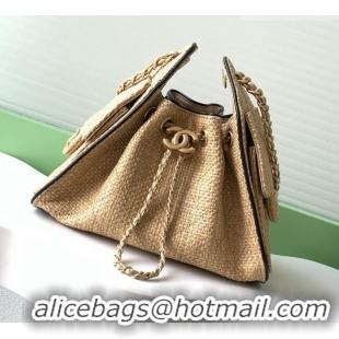 Luxury Cheap Chanel 25 Mini Hobo Handbag in Braided Raffia AS5631 Beige 2026