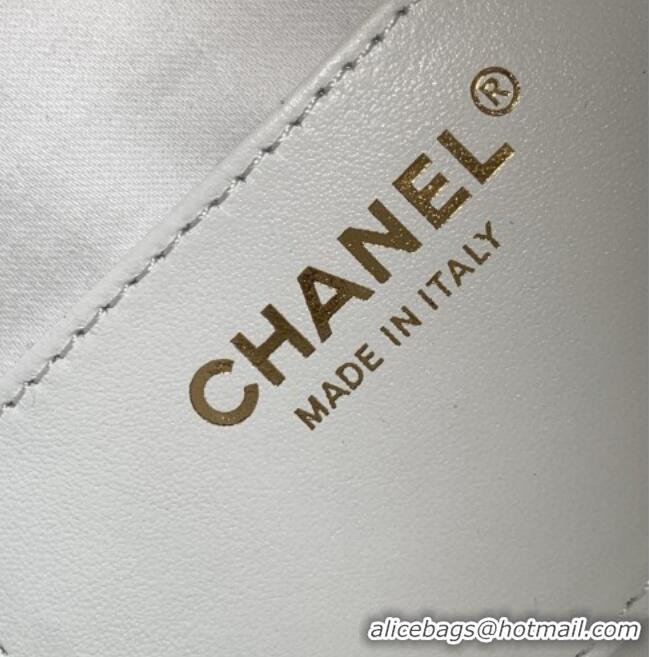 Best Product Chanel 25 Mini Hobo Handbag in Braided Raffia AS5631 White 2026