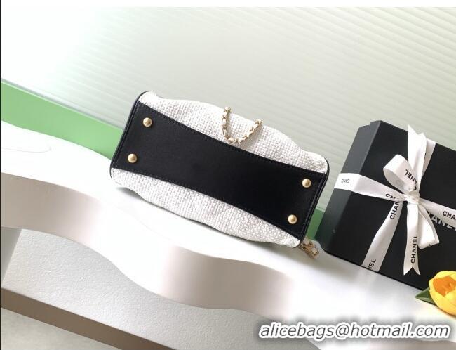 Best Product Chanel 25 Mini Hobo Handbag in Braided Raffia AS5631 White 2026