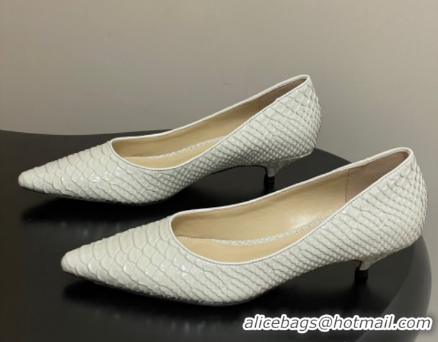 Top Grade The Row Liisa Kitten Two Pumps 3.5cm in Embossed Leather TR120813 White 2026