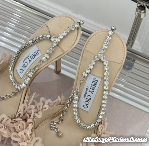 Classic Hot Jimmy Choo Mesh Pumps 10cm with Petal Embroidery and Strass Strap Beige 60206094 2026