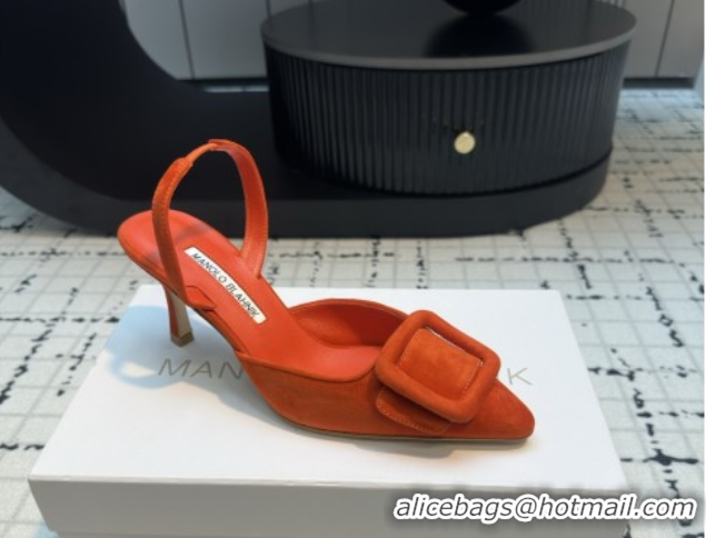 Top Design Manolo Blahnik MAYSLI Slingback Pumps with Buckle in Suede 5112520 Orange 2026