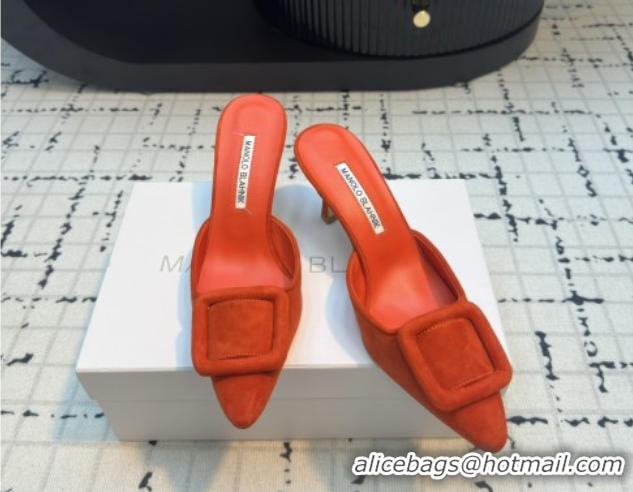 Big Discount Manolo Blahnik MAYSALE 70 Mules with Buckle in Suede 5112526 Orange 2026