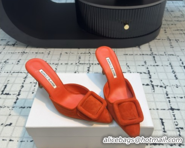 Big Discount Manolo Blahnik MAYSALE 70 Mules with Buckle in Suede 5112526 Orange 2026