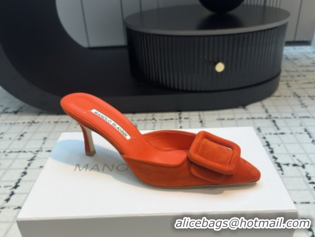 Big Discount Manolo Blahnik MAYSALE 70 Mules with Buckle in Suede 5112526 Orange 2026