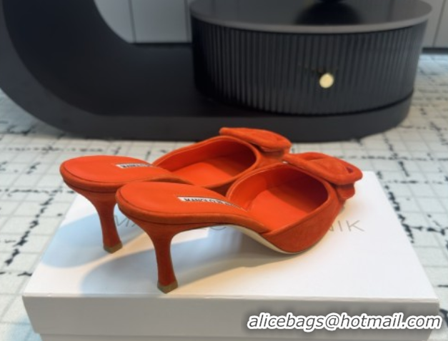 Big Discount Manolo Blahnik MAYSALE 70 Mules with Buckle in Suede 5112526 Orange 2026