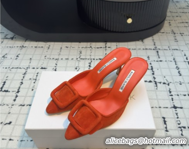 Big Discount Manolo Blahnik MAYSALE 70 Mules with Buckle in Suede 5112526 Orange 2026