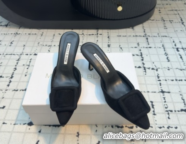 Best Product Manolo Blahnik MAYSALE 70 Mules with Buckle in Suede 5112526 Black 2026