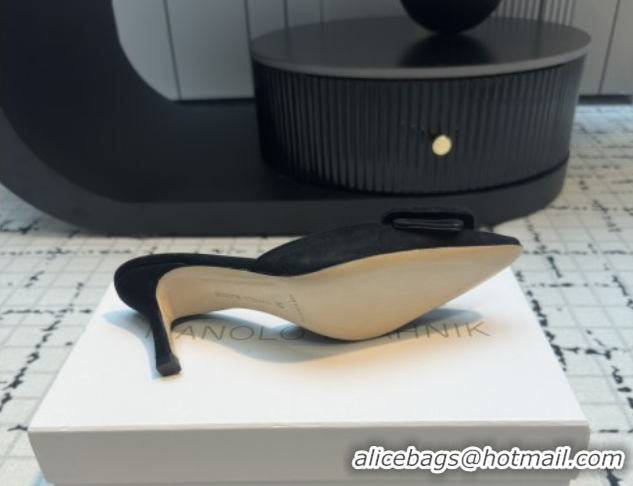 Best Product Manolo Blahnik MAYSALE 70 Mules with Buckle in Suede 5112526 Black 2026