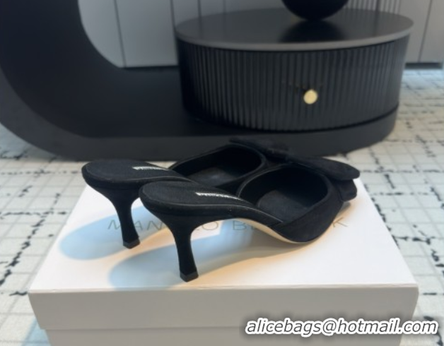 Best Product Manolo Blahnik MAYSALE 70 Mules with Buckle in Suede 5112526 Black 2026