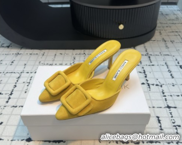 Good Quality Manolo Blahnik MAYSALE 70 Mules with Buckle in Suede 5112526 Yellow 2026