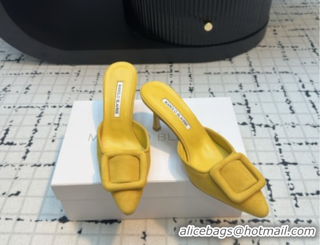 Good Quality Manolo Blahnik MAYSALE 70 Mules with Buckle in Suede 5112526 Yellow 2026