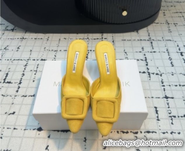 Good Quality Manolo Blahnik MAYSALE 70 Mules with Buckle in Suede 5112526 Yellow 2026
