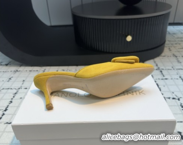 Good Quality Manolo Blahnik MAYSALE 70 Mules with Buckle in Suede 5112526 Yellow 2026