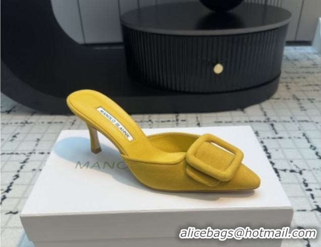 Good Quality Manolo Blahnik MAYSALE 70 Mules with Buckle in Suede 5112526 Yellow 2026