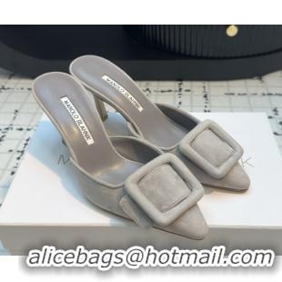 Good Looking Manolo Blahnik MAYSALE 70 Mules with Buckle in Suede 5112526 Grey 2026